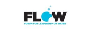 Flow Logo