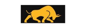 Silver Gold Bull Logo