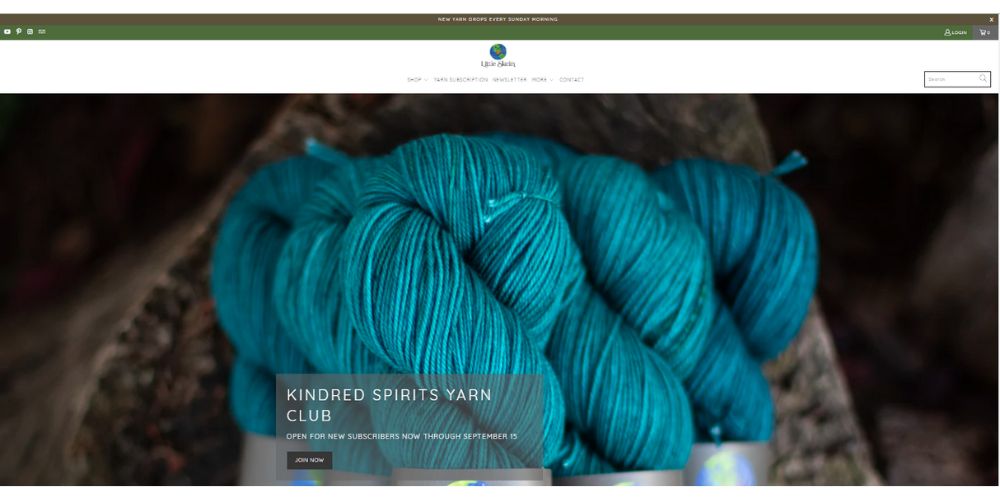 Little Skein subscription box