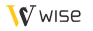 Wise Stores Logo