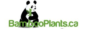 Bamboo Logo