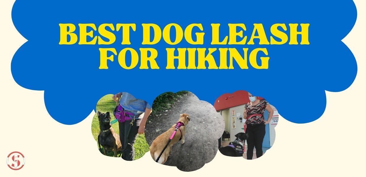 BEST DOG LEASH FOR HIKING