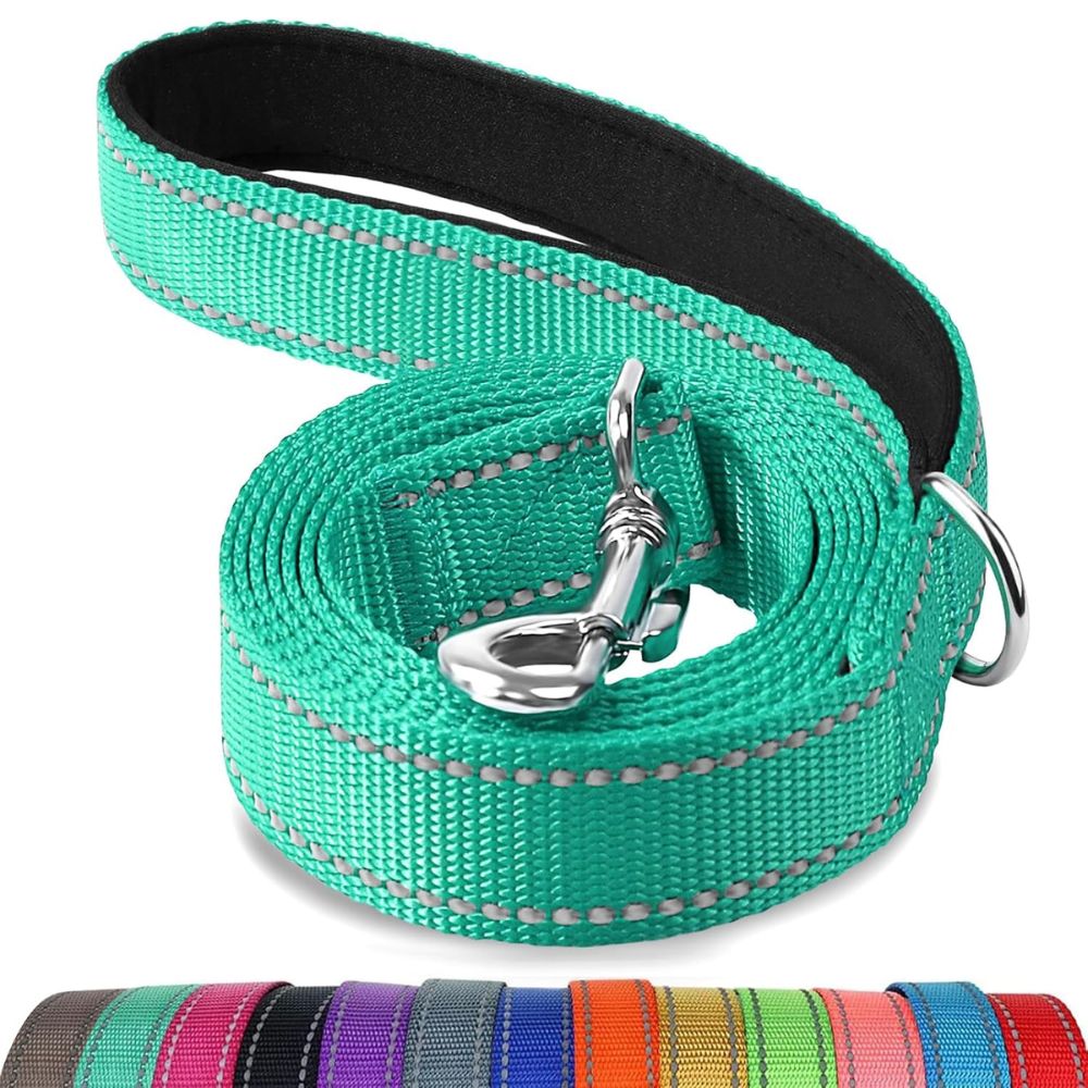 Joytale Double-Sided Reflective Dog Leash