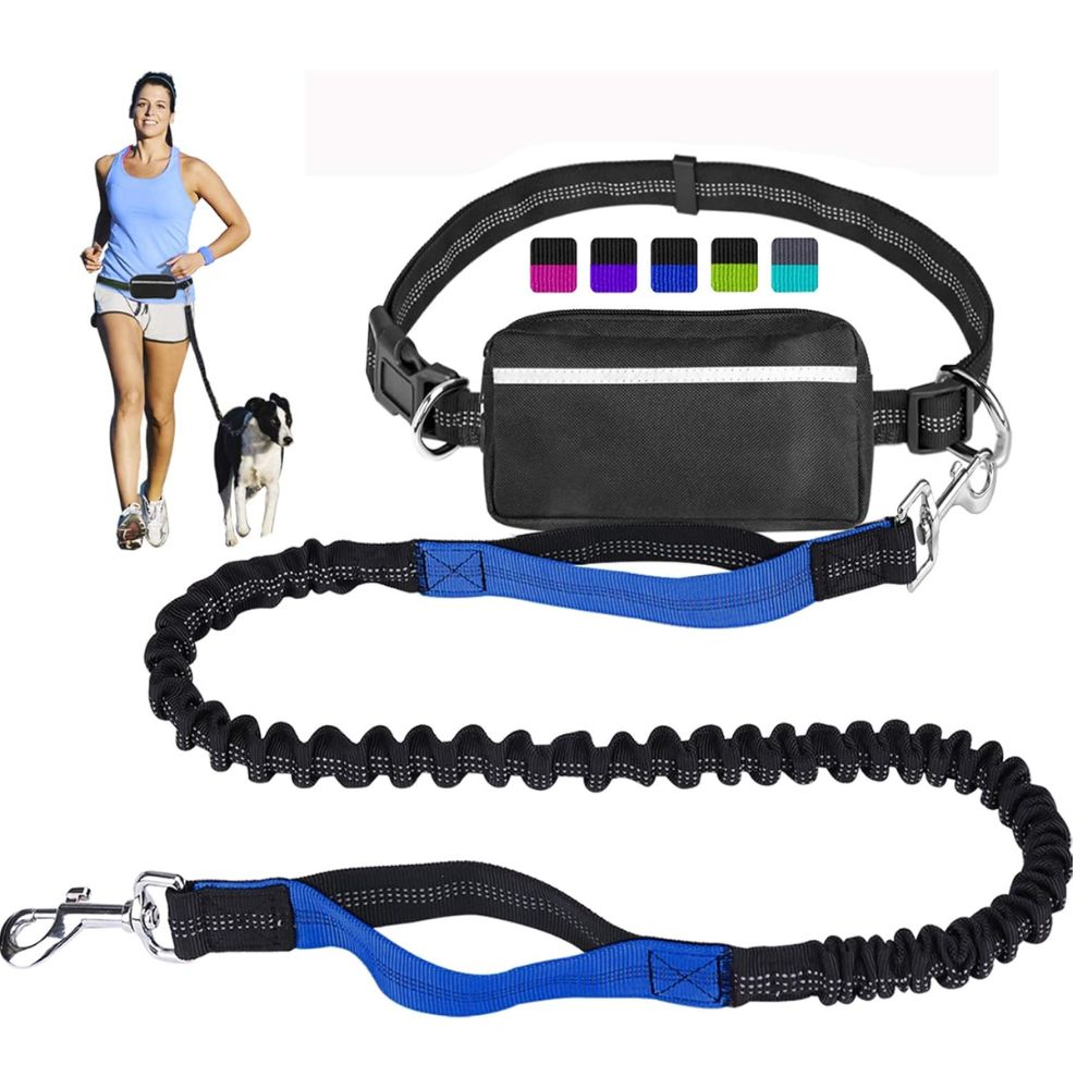 LANNEY Hands Free Dog Leash