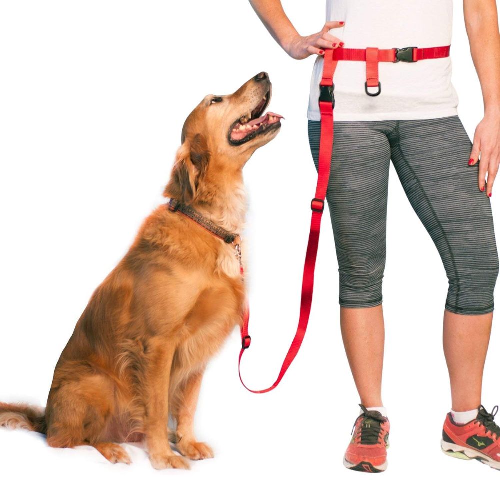 The Buddy System Adjustable Dog Leash