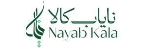 Nayabkala Logo